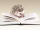 hedgehog reading a book